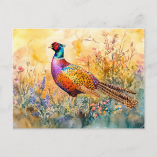 Pheasant on a meadow watercolor painting postcard