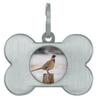 Pheasant Pet Name Tag