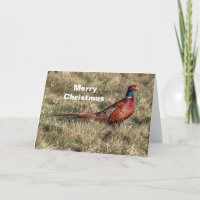 Pheasant Photo Christmas