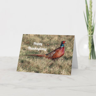 Pheasant Photo Thanksgiving Holiday Card
