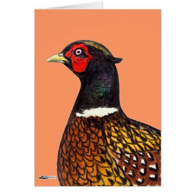 Pheasant:  Ringneck Head (Front)