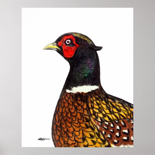 Pheasant:  Ringneck Head Poster (Front)