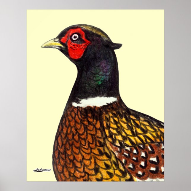 Pheasant:  Ringneck Head Poster (Front)