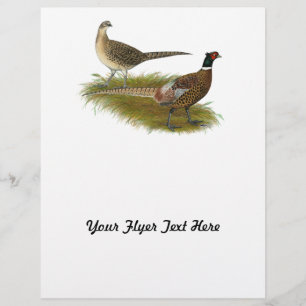 Pheasant: Ringneck Pair Flyer