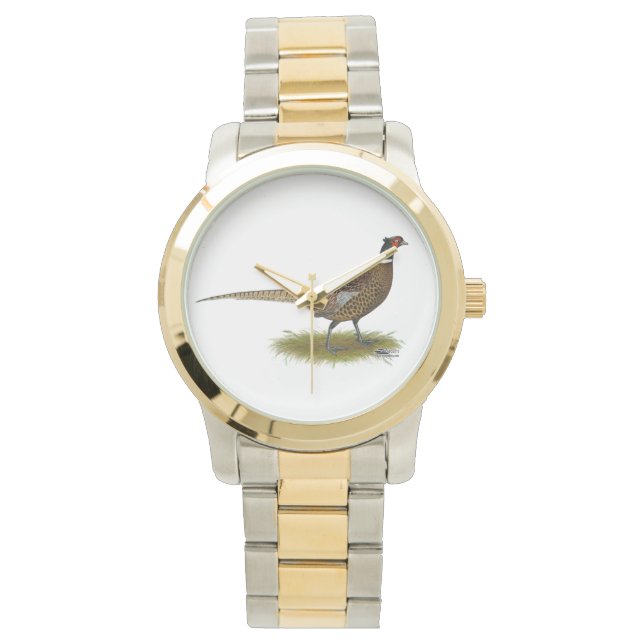 Pheasant Rooster Watch (Front)