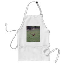 Pheasant