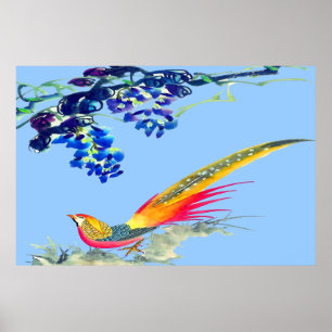 Pheasant Standing poster Drawing 3