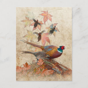 Pheasant  tapestry acrylic print postcard