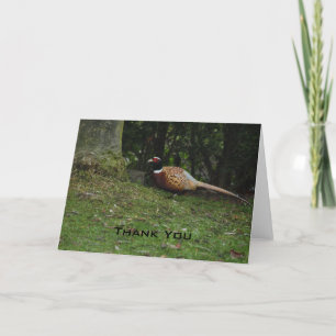 Pheasant Thank You Card