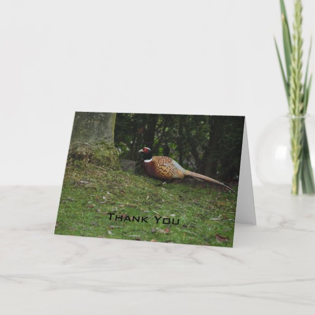 Pheasant Thank You Card (Front)