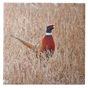 Pheasant Tile Large 6" x 6"