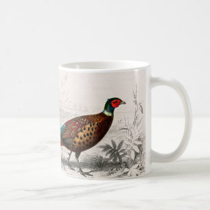 Pheasant vintage illustrated coffee mug