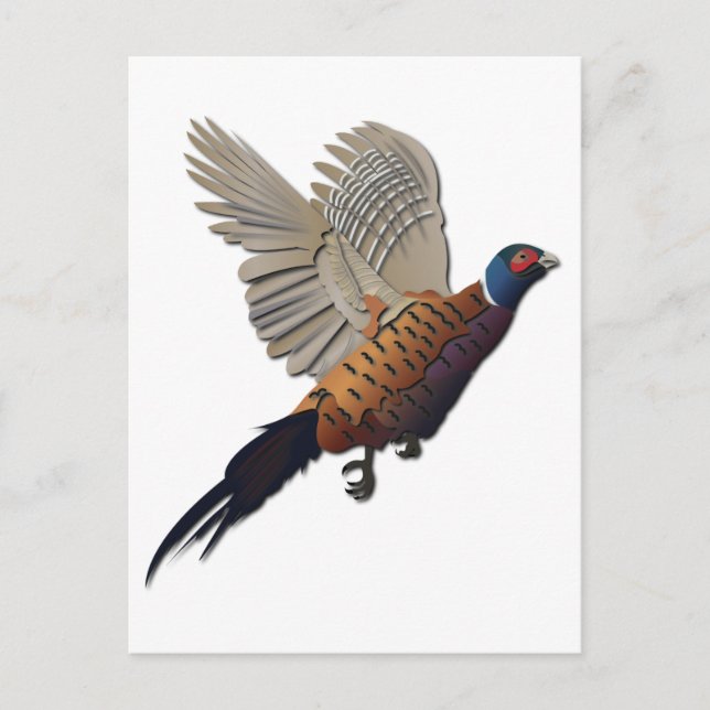 Pheasant without Text Postcard (Front)
