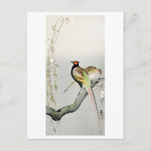 Pheasants and cherry blossom - Ohara Koson - Postcard