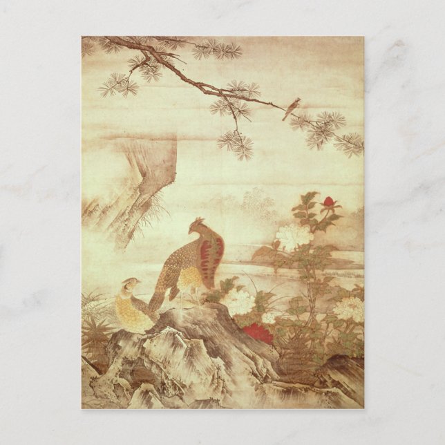 Pheasants and peonies, from a series of scrolls postcard (Front)