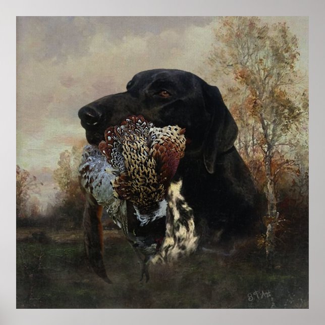 Pheasants Hunting with German Shorthaired Tapestry Poster (Front)