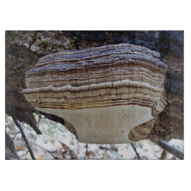 Phellinus igniarius Mushroom Glass Chopping Board (Front)