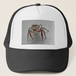 Phiddipus Jumping Spider Series Matching Items Trucker Hat