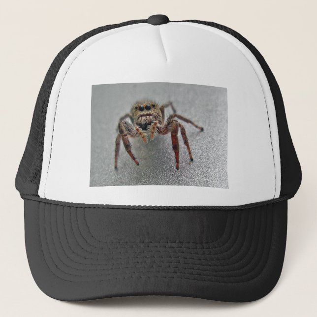 Phiddipus Jumping Spider Series Matching Items Trucker Hat (Front)