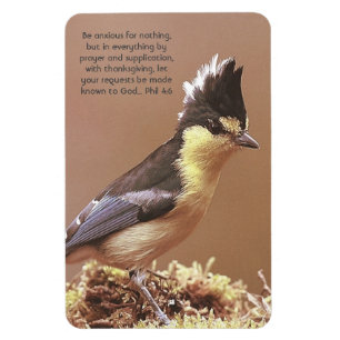 "Phil 4:6" Anxiety Contentment prayer faith Magnet