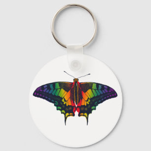 Philadelphia Rainbow Pride Flag Swallowtail Key Ring