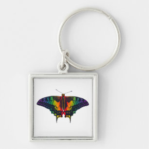 Philadelphia Rainbow Pride Flag Swallowtail Key Ring