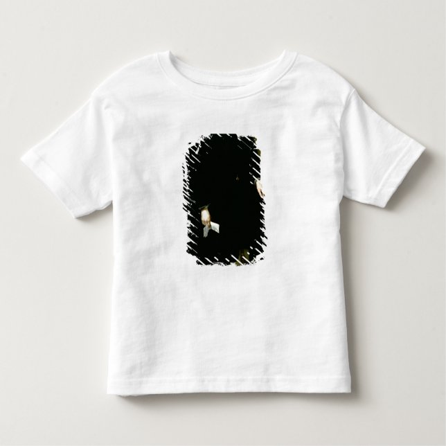 Philip IV of Spain  c.1626 Toddler T-Shirt (Front)