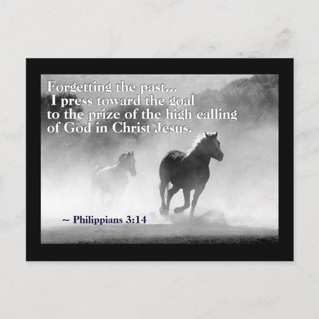 Philippians 3:14 I press towards the goal, Horses Postcard (Front)