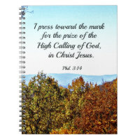 Philippians 3:14 I press towards the mark...
