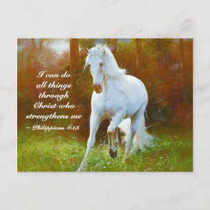 Philippians 4:13 All things through Christ, Horse Postcard