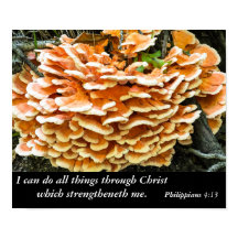 Philippians 4:13 Bible Verse Poster