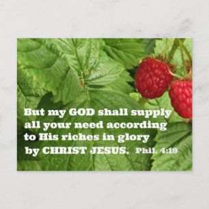 Philippians 4:19 But my God shall supply all your Postcard