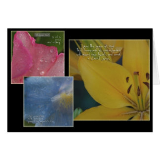 Philippians Floral