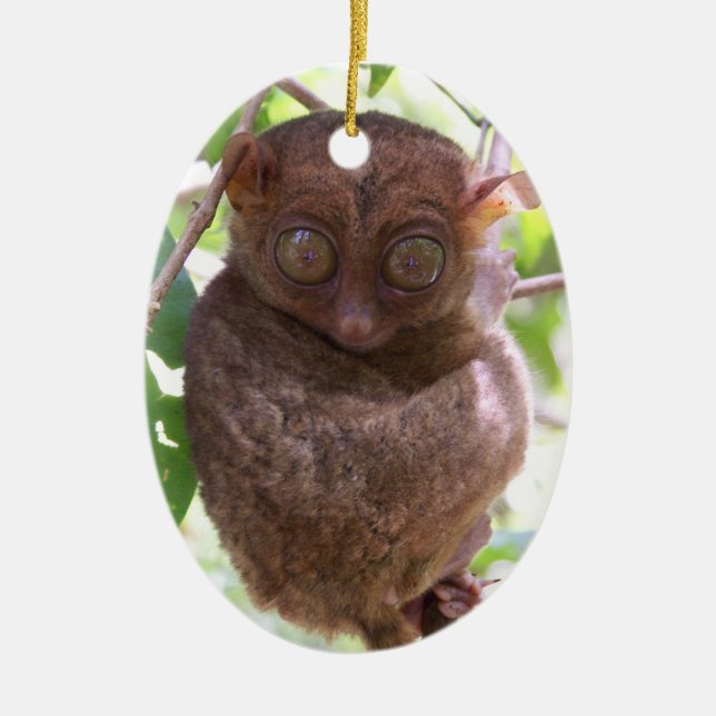 Philippine Tarsier Ornament (Front)