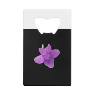 Philippine Violet on black