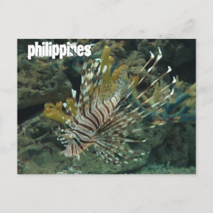 Philippines Postcard