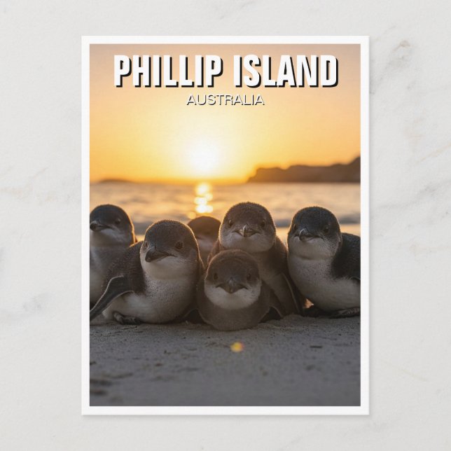 Phillip Island Australia Postcard (Front)