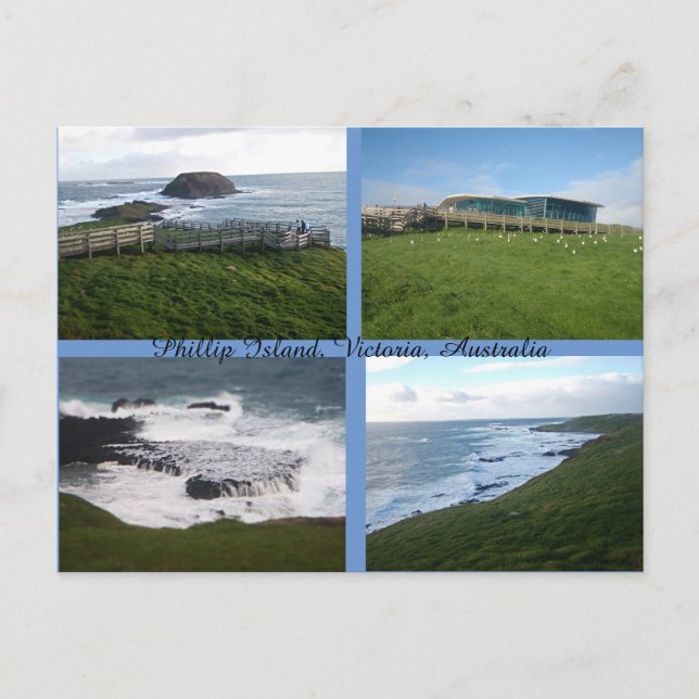 Phillip Island Nature Park Postcard (Front)