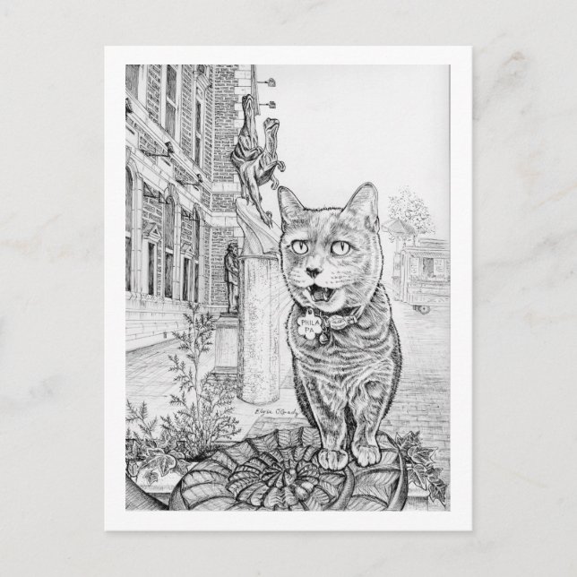 Philly Cat near Academy of Natural Sciences  Postcard (Front)