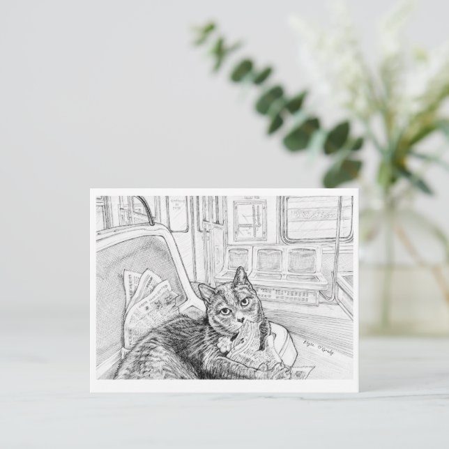 Philly Cat on Subway (postcard) Postcard (Standing Front)