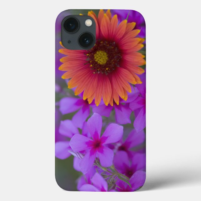 Phlox and Indian Blanket near Devine Texas Case-Mate iPhone Case (Back)