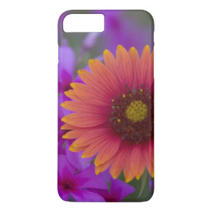 Phlox and Indian Blanket near Devine Texas iPhone 8 Plus/7 Plus Case