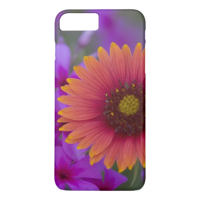 Phlox and Indian Blanket near Devine Texas Case-Mate iPhone Case (Back)