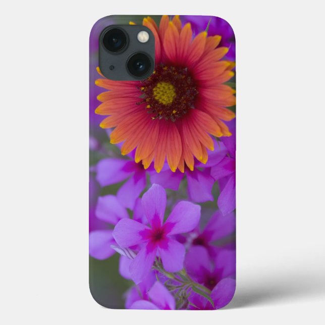 Phlox and Indian Blanket near Devine Texas Case-Mate iPhone Case (Back)