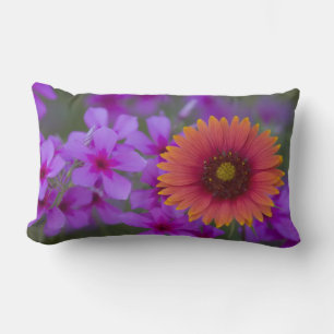 Phlox and Indian Blanket near Devine Texas Lumbar Cushion