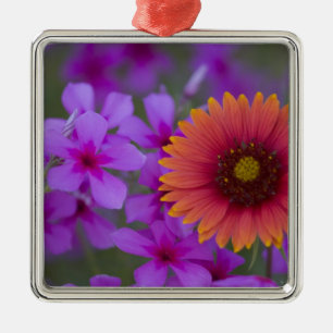 Phlox and Indian Blanket near Devine Texas Metal Ornament