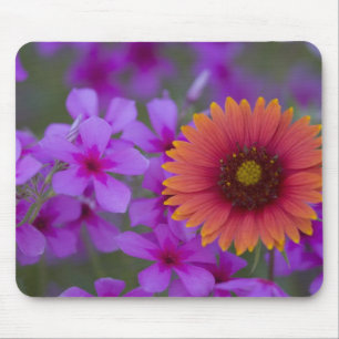 Phlox and Indian Blanket near Devine Texas Mouse Pad