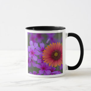 Phlox and Indian Blanket near Devine Texas Mug