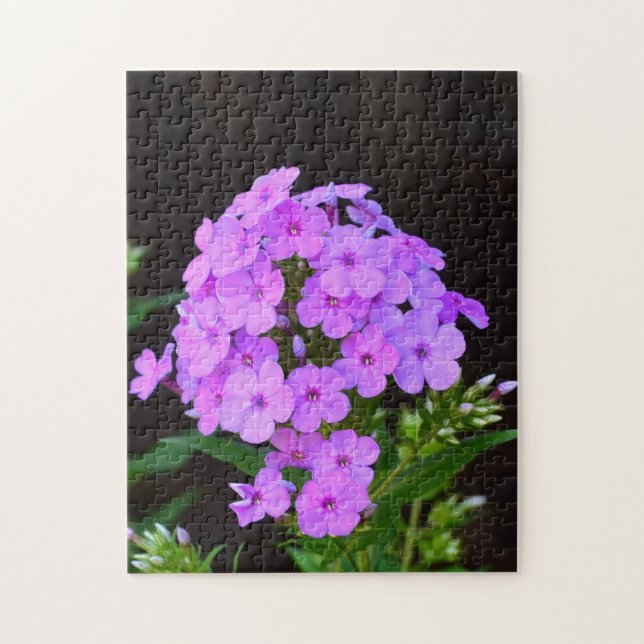 Phlox 'David's Lavender' Jigsaw Puzzle (Vertical)