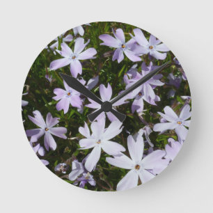 Phlox flower round clock